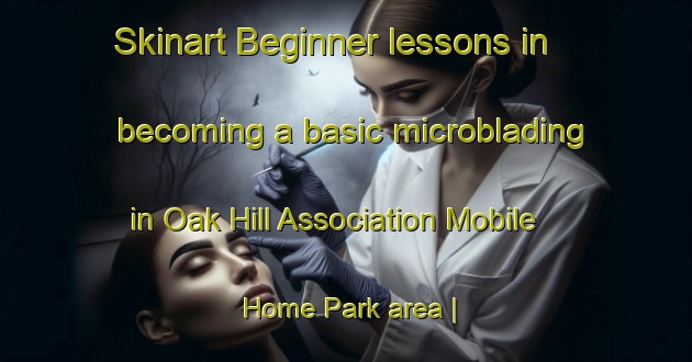 Skinart Beginner lessons in becoming a basic microblading in Oak Hill Association Mobile Home Park area | MicrobladingTraining | MicrobladingClasses | SkinartTraining-United States